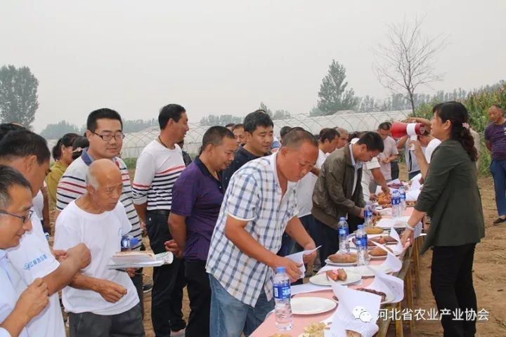 協會薯業專業委員會“甘薯新品種品鑒及輕簡化高效栽培技術現場觀摩會”成功舉辦